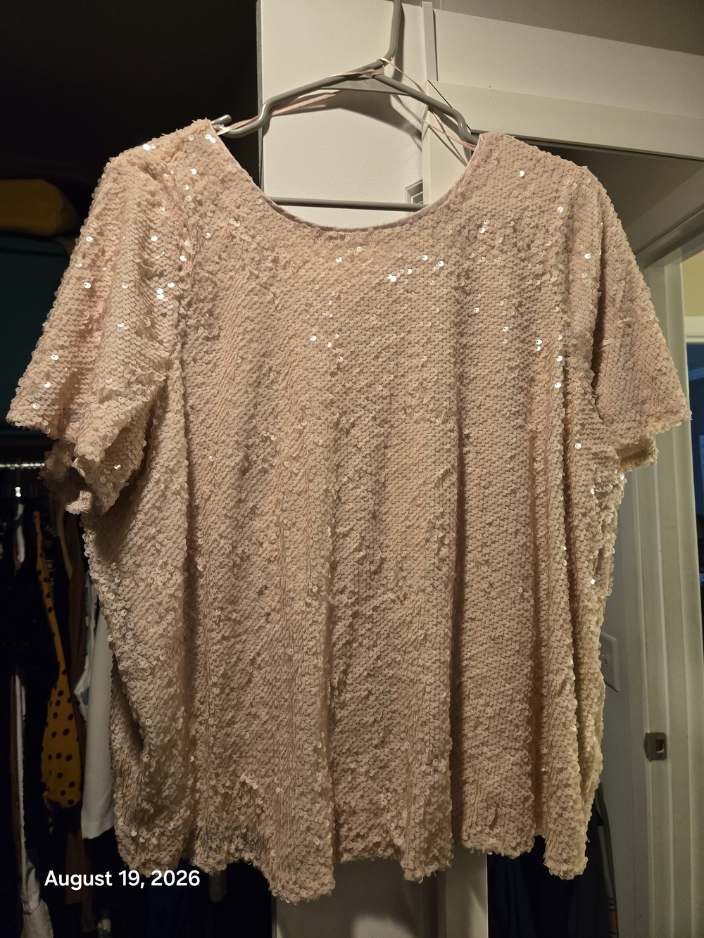 Lauren Conrad Women's XL Sequin Textured Short-Sleeve Top - Blush